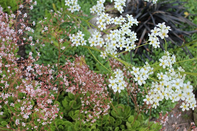 5月25日